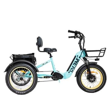 Revolutionary Pure Value SILVERADO 20 48V/14AH 750W Foldable Fat Tire Electric Trike, 330LBS (96817362) Universal